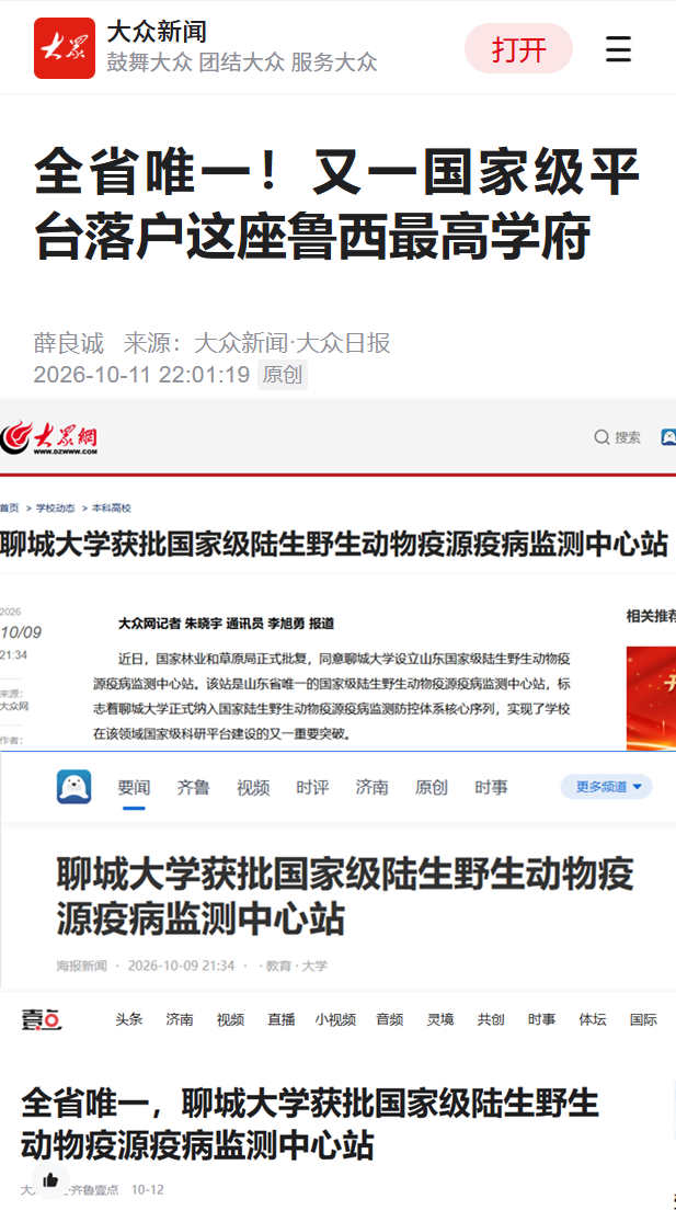 光影魔术手拼图.jpg